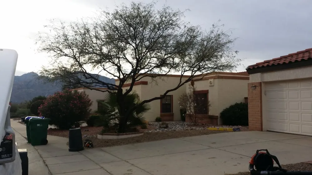 Local residential landscaping for year-round maintenance in Tucson, AZ by Tucson Landscape Company