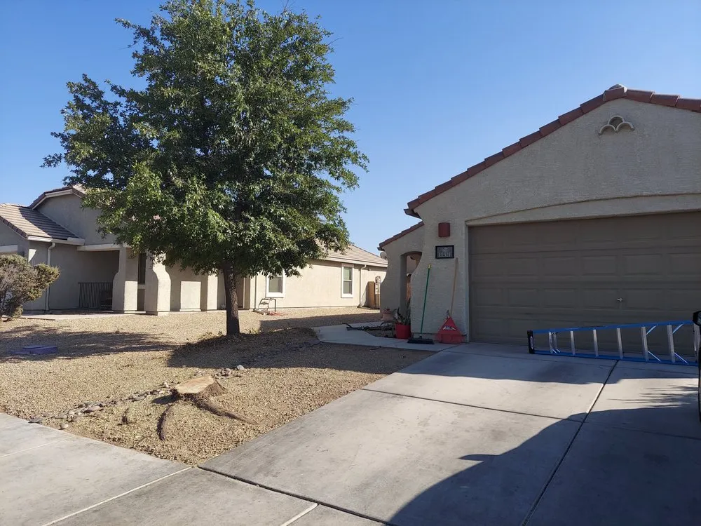 Affordable yard cleanup service in Tucson, AZ - Tucson Landscape Company