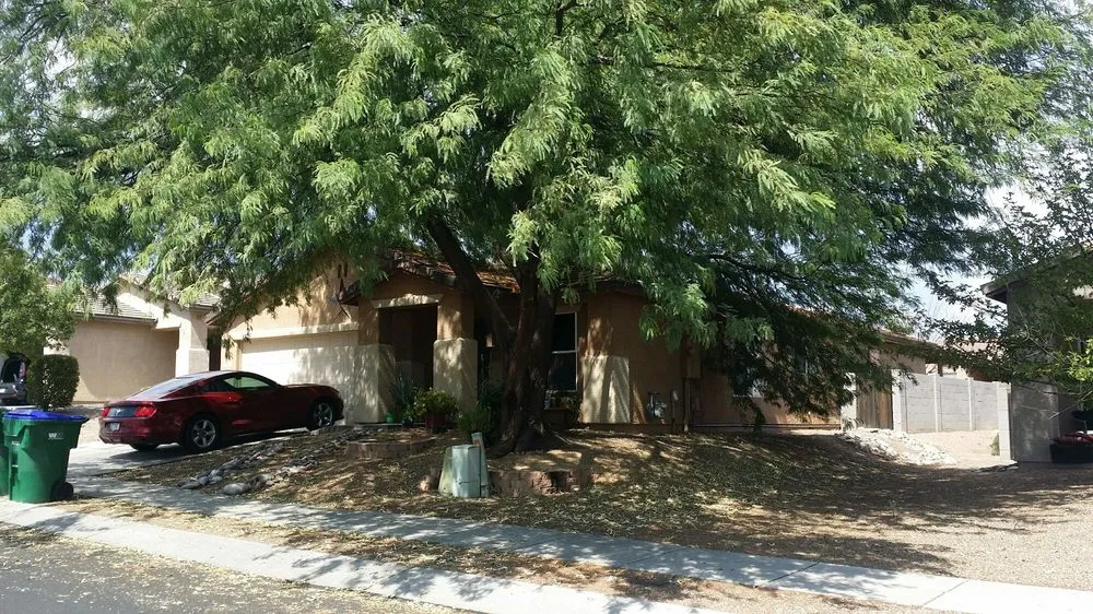 Professional landscape design in Tucson, AZ by Tucson Landscape Company