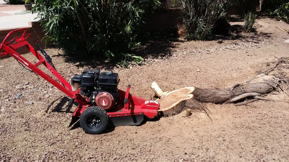 Custom yard cleanup service with custom design in Tucson, AZ by Tucson Landscape Company