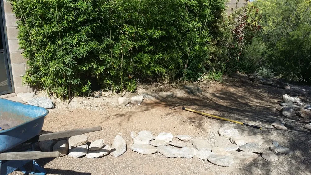 Affordable landscaping services in Tucson, AZ by Tucson Landscape Company