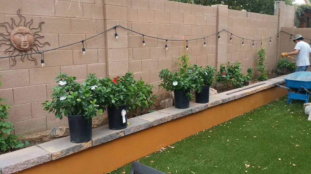 Custom outdoor landscaping near you in Tucson, AZ by Tucson Landscape Company