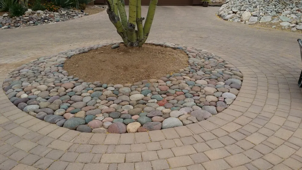 Expert landscaping services in Tucson, AZ - Tucson Landscape Company