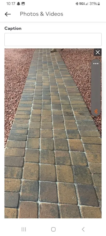 Professional yard maintenance in tucson, AZ - Tucson Landscaping and Tree Service