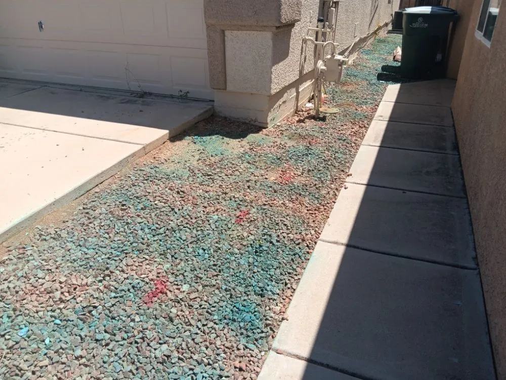 Affordable outdoor landscaping in tucson, AZ - Tucson Landscaping and Tree Service