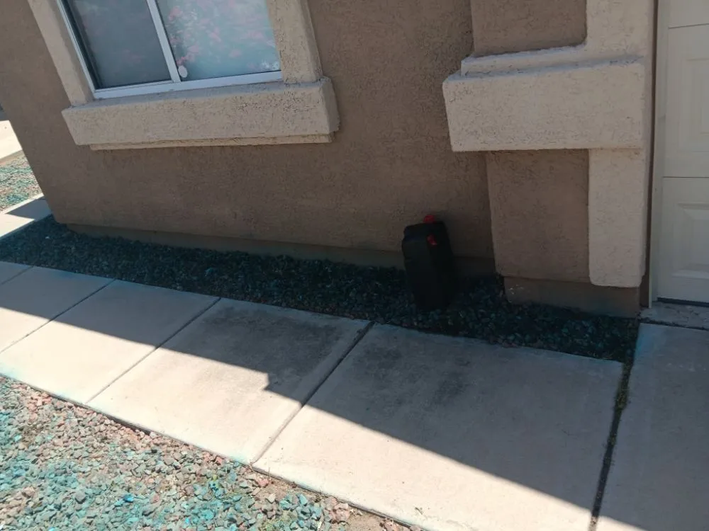 Professional yard maintenance in tucson, AZ - Tucson Landscaping and Tree Service