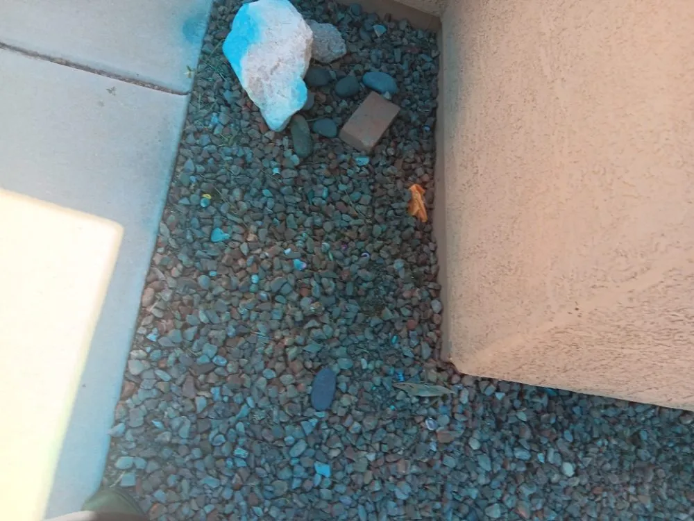 Local landscaping services for residential properties in tucson, AZ by Tucson Landscaping and Tree Service