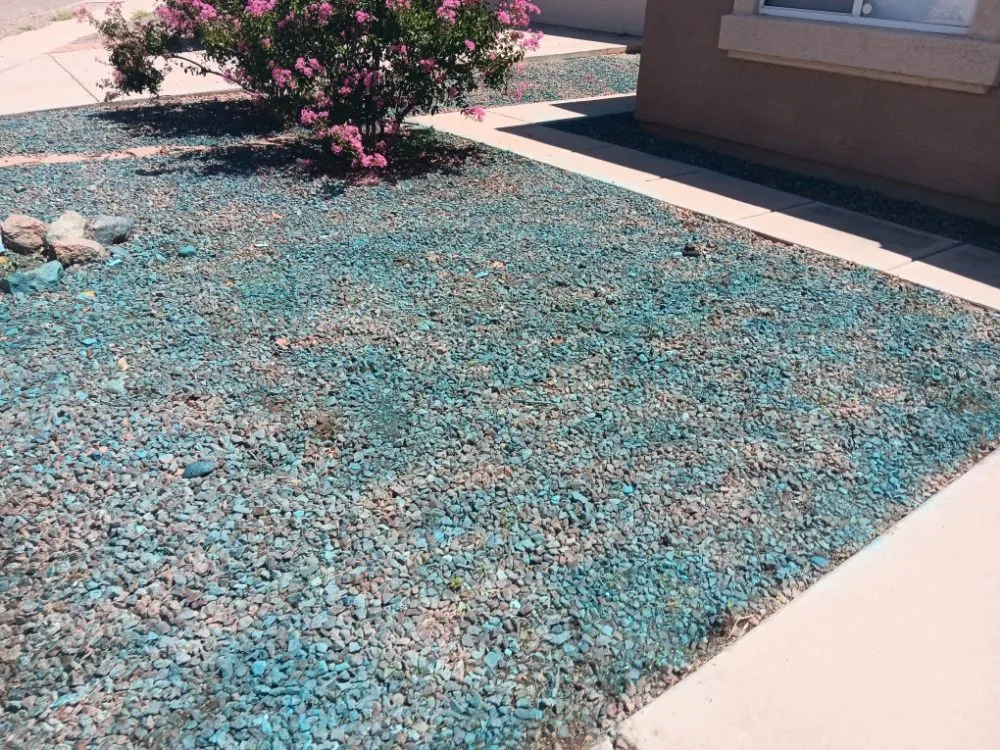 Local lawn mowing service with custom design across tucson, AZ - Tucson Landscaping and Tree Service