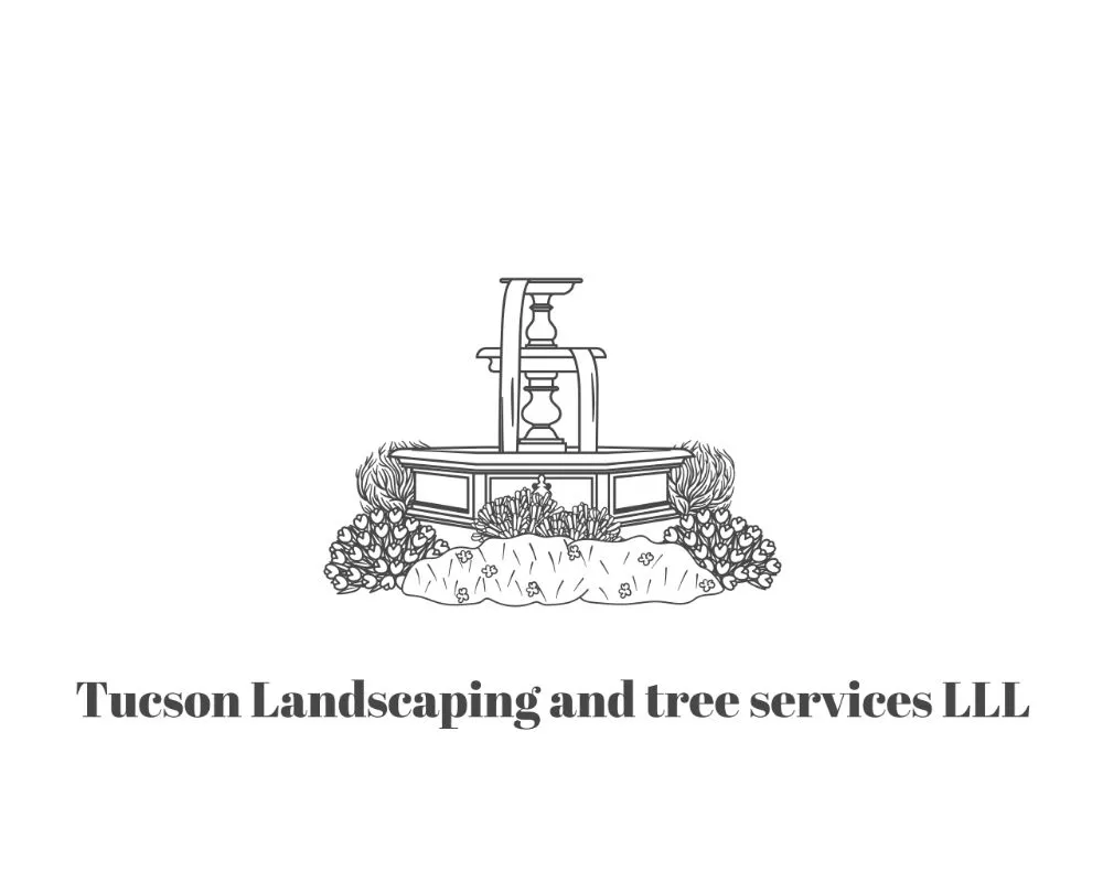 Trusted landscaping services for outdoor upgrades across tucson, AZ - Tucson Landscaping and Tree Service