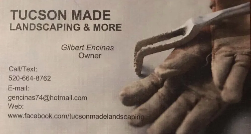 Expert residential landscaping in Tucson, AZ by Tucson Made Landscaping