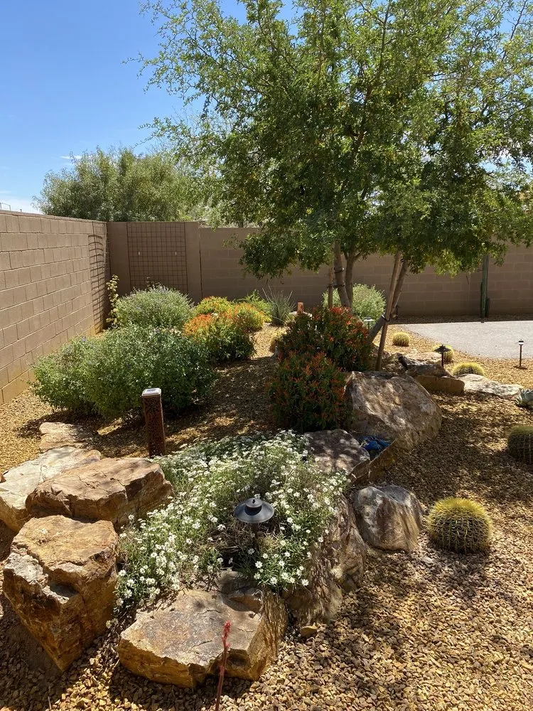 Trusted garden landscaping near you in Tucson, AZ by Tucson Professional Landscaping