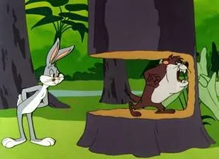 Trusted yard cleanup service for beautiful yards across Tucson, AZ - Tucson Yard Service