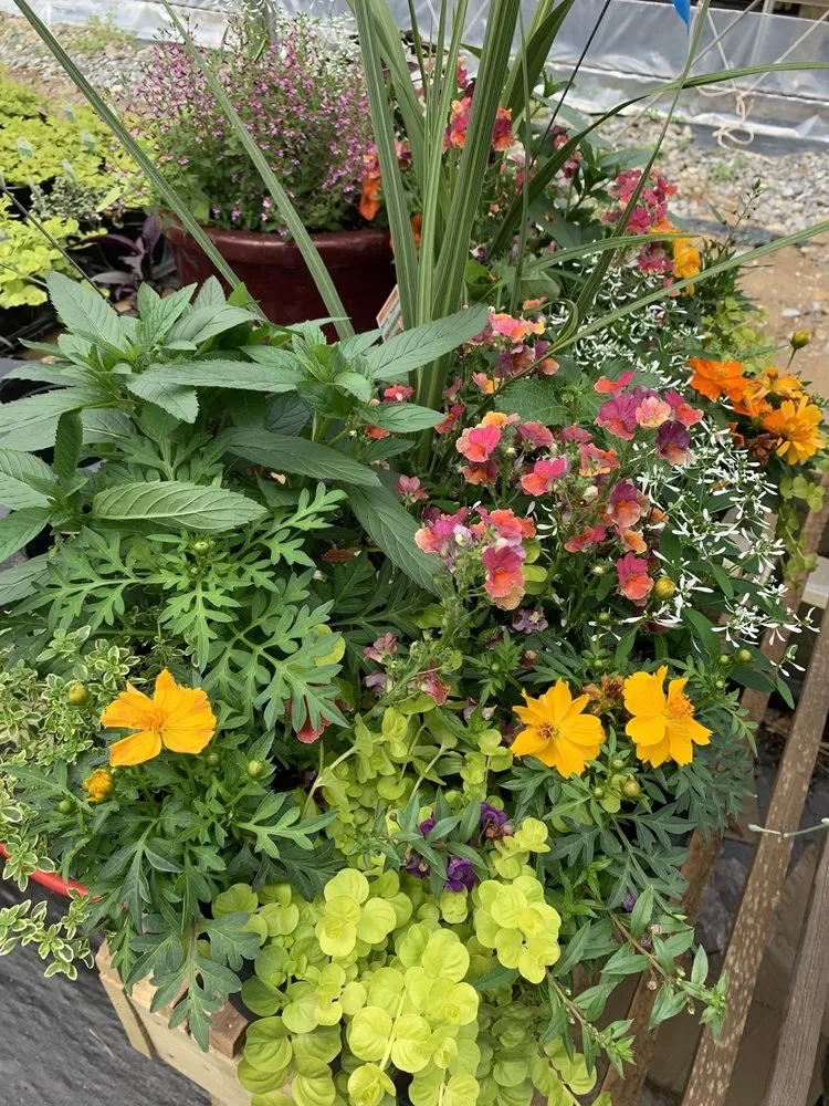 Expert residential landscaping for homes across Conestoga, PA - Tudbink's Farm