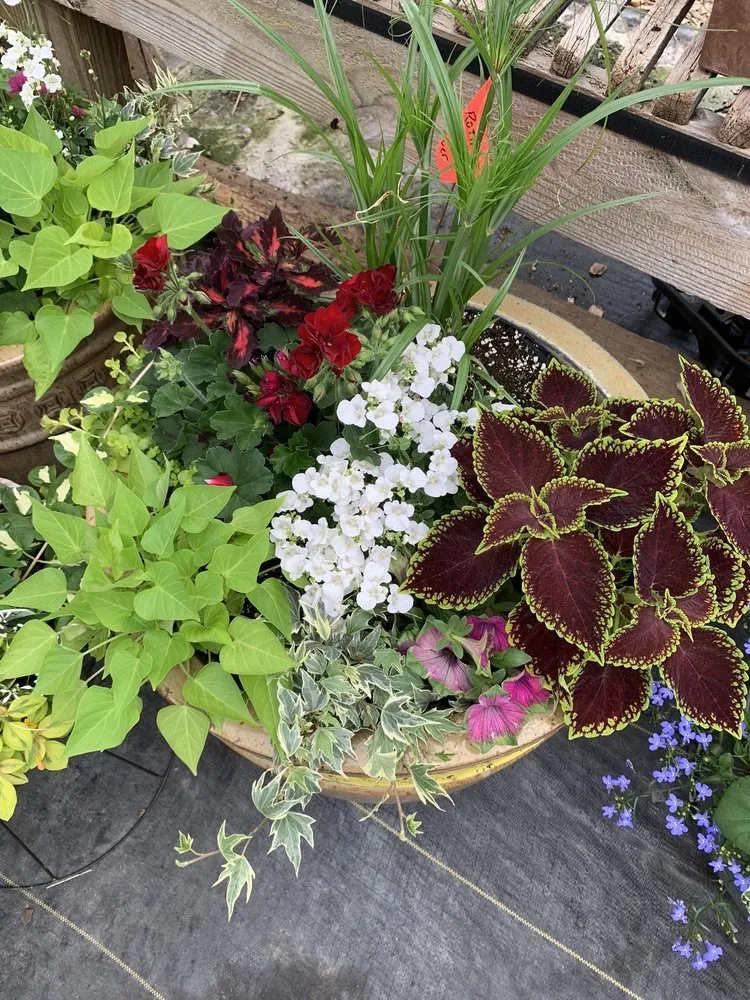 Top-rated landscape installation experts serving Conestoga, PA - Tudbink's Farm
