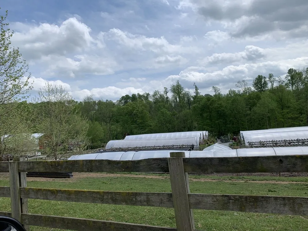 Custom garden landscaping for residential properties across Conestoga, PA - Tudbink's Farm