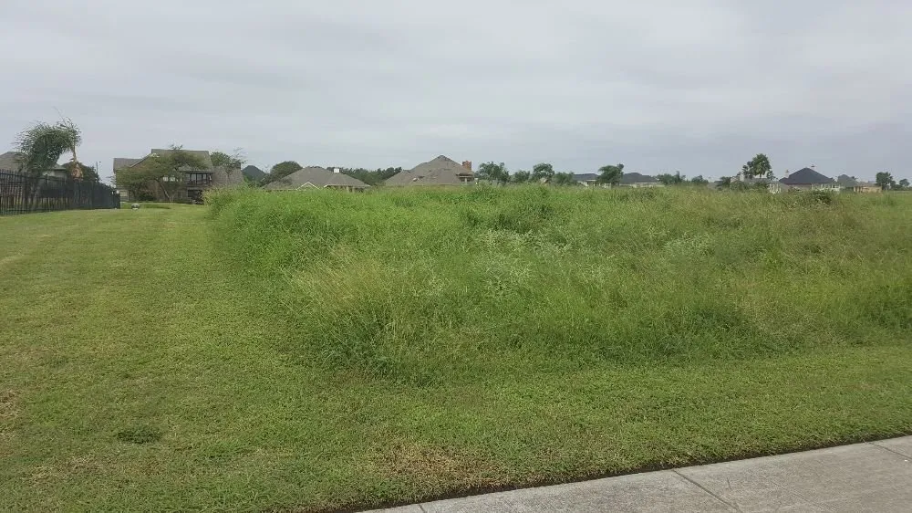 Expert yard maintenance in Corpus Christi, TX by Tuff Cut Lawn & Landscape