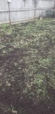 Tuff Green Lawn Care Services