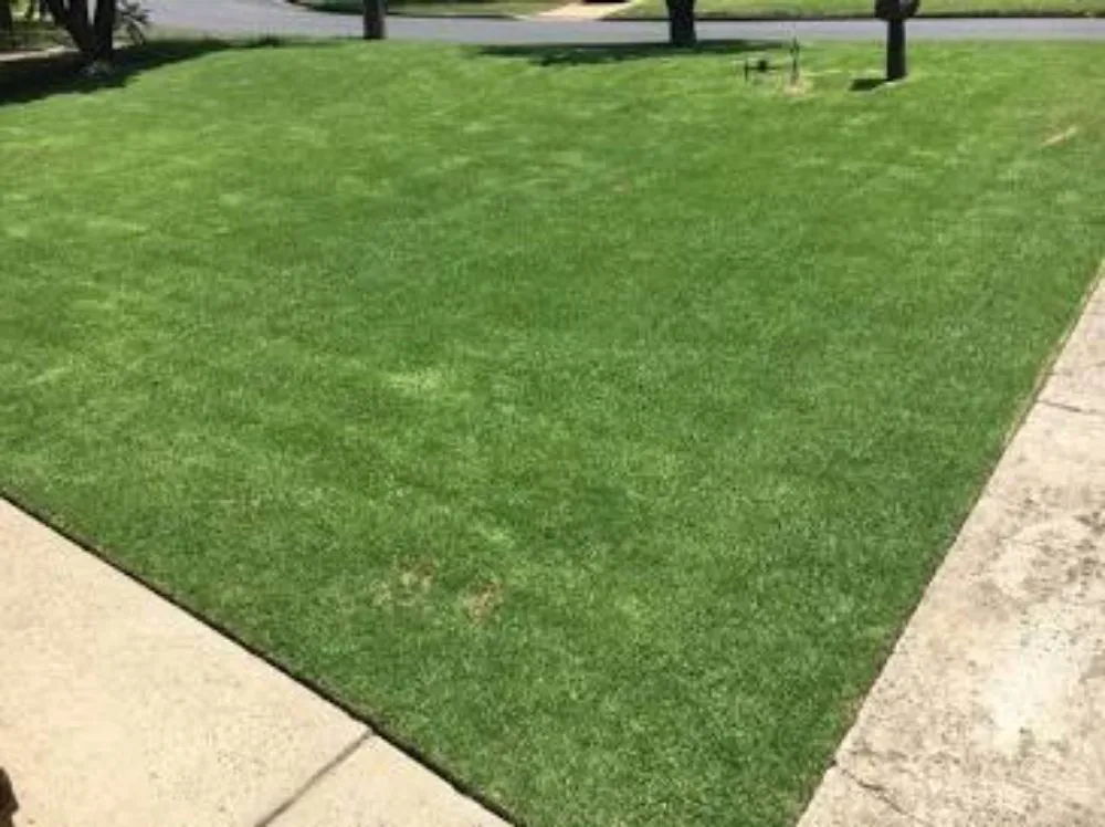 Local yard maintenance for year-round maintenance in St. George, UT by Tuff Lawn Care & Landscaping
