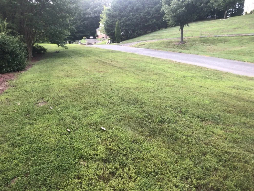 Custom garden landscaping for homes in Bowie, MD by Tuff Spot