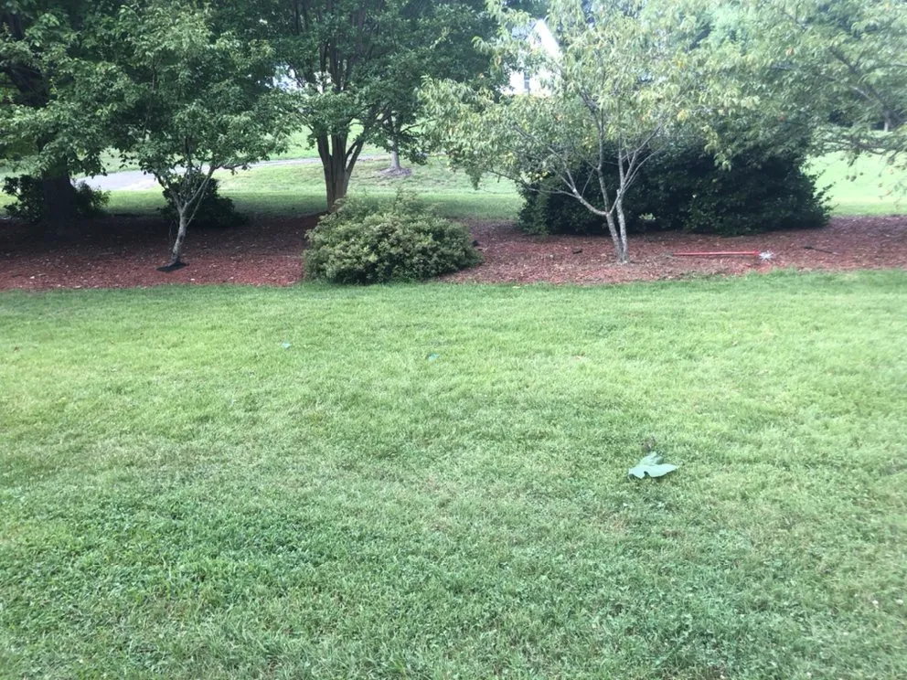 Affordable yard cleanup service in Bowie, MD by Tuff Spot