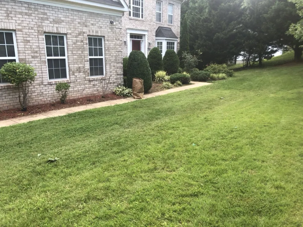 Reliable lawn care service in Bowie, MD - Tuff Spot