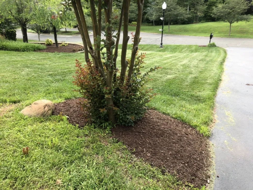 Top-rated lawn mowing service near you in Bowie, MD by Tuff Spot