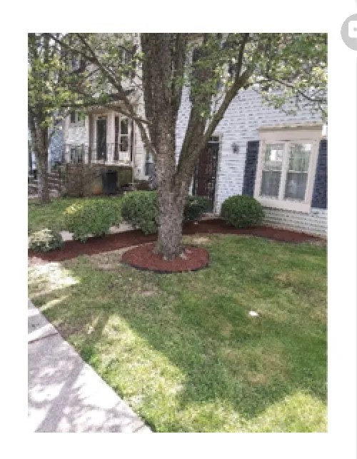 Trusted yard cleanup service in Bowie, MD - Tuff Spot