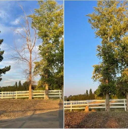 Professional garden landscaping in Kimberly, ID by Tuff Stuff Landscaping