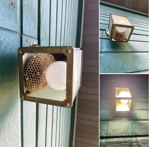 Top-rated residential landscaping in Kimberly, ID by Tuff Stuff Landscaping