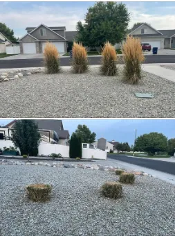 Expert outdoor landscaping for year-round maintenance in Kimberly, ID by Tuff Stuff Landscaping