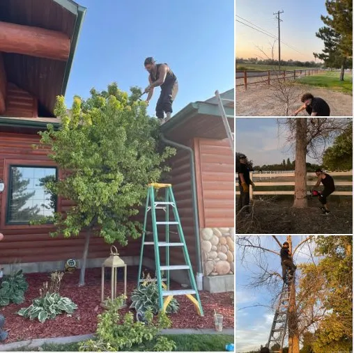 Reliable yard maintenance for year-round maintenance across Kimberly, ID - Tuff Stuff Landscaping