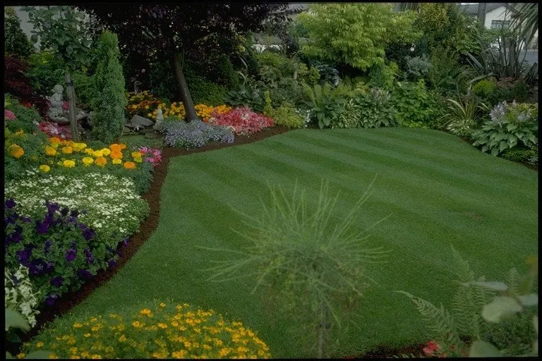 Professional yard maintenance in Vancouver, WA - Tuff Turf