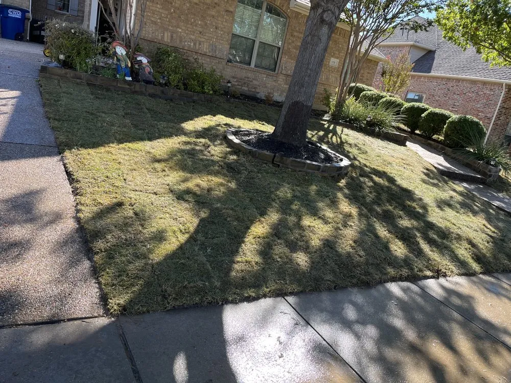 Affordable landscape design experts serving Mesquite, TX - TufTurf