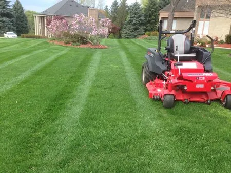 Professional yard maintenance experts serving Longwood, FL - Tuga Landscaping