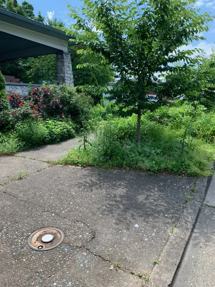 Top-rated outdoor landscaping experts serving Clarksville, IN - Tugs Lawn Care