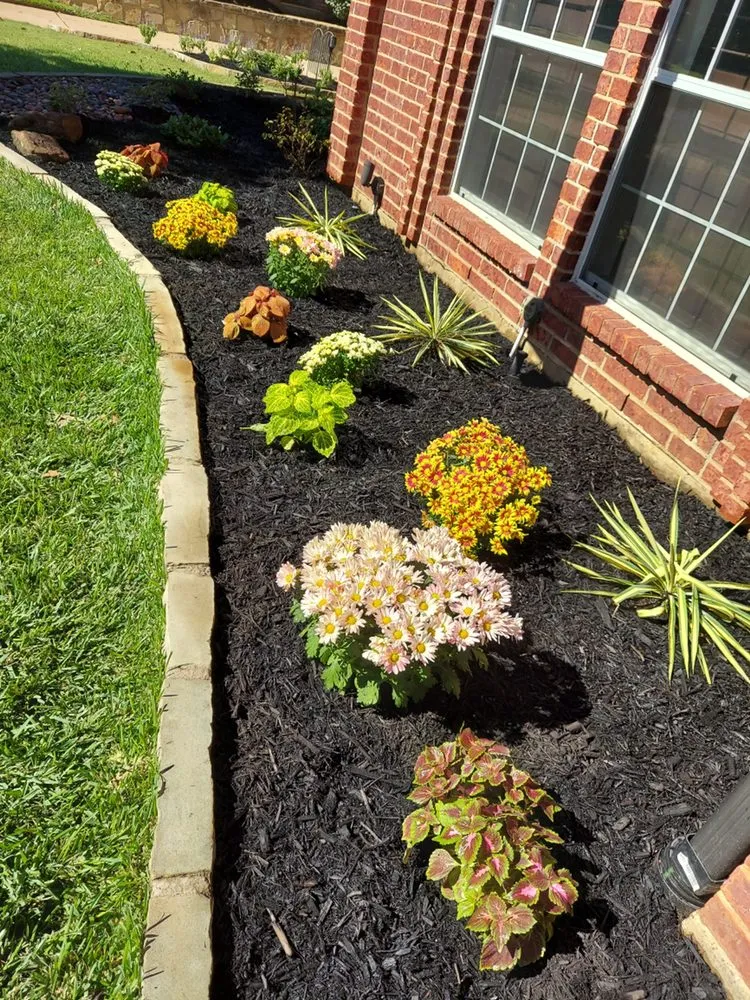 Trusted lawn care service near you in Euless, TX by Tuha Landscapes