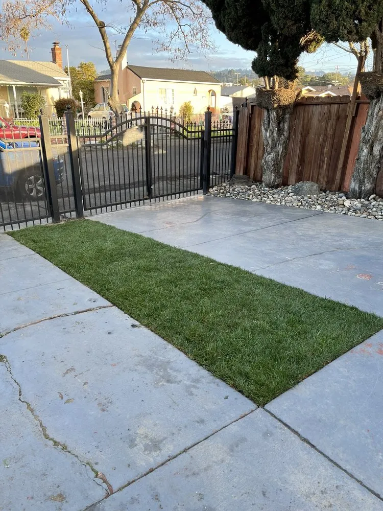Top-rated landscape design for homes across Hayward, CA - Tukia Landscaping