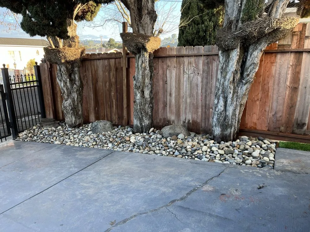 Custom yard maintenance for beautiful yards across Hayward, CA - Tukia Landscaping
