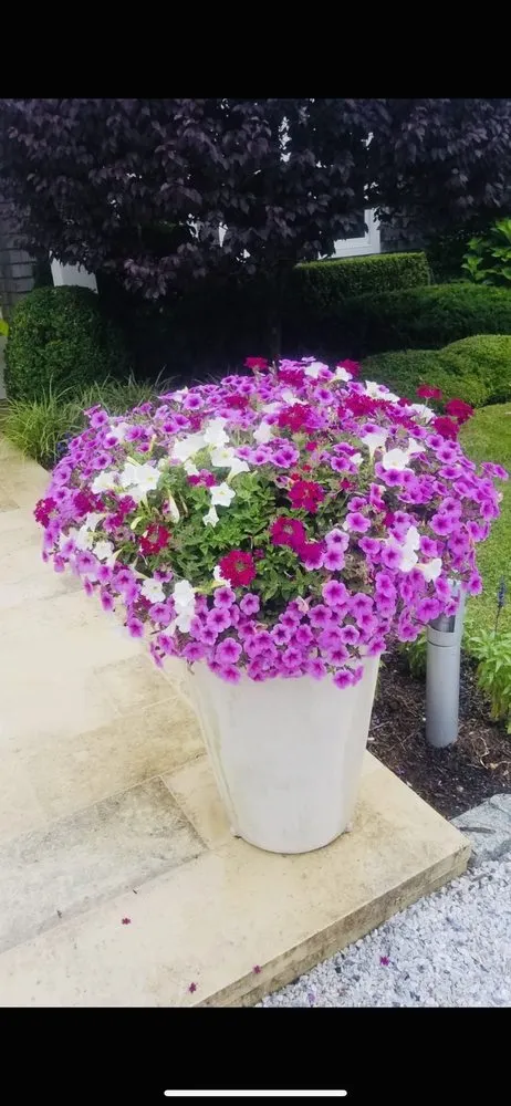 Custom yard cleanup service experts serving Riverhead, NY - Tula Landscaping