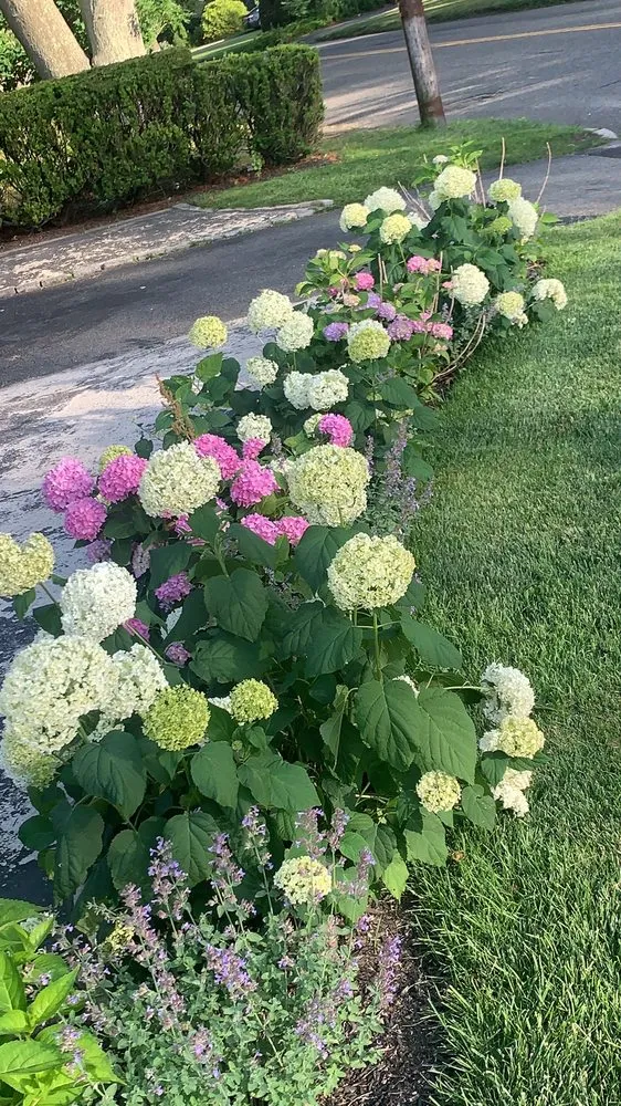 Expert garden landscaping near you in Riverhead, NY by Tula Landscaping