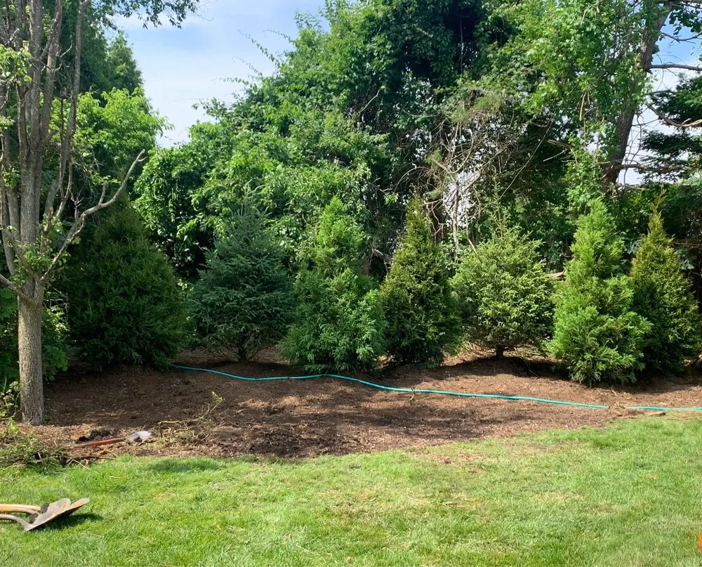Reliable lawn care service for year-round maintenance in Riverhead, NY by Tula Landscaping