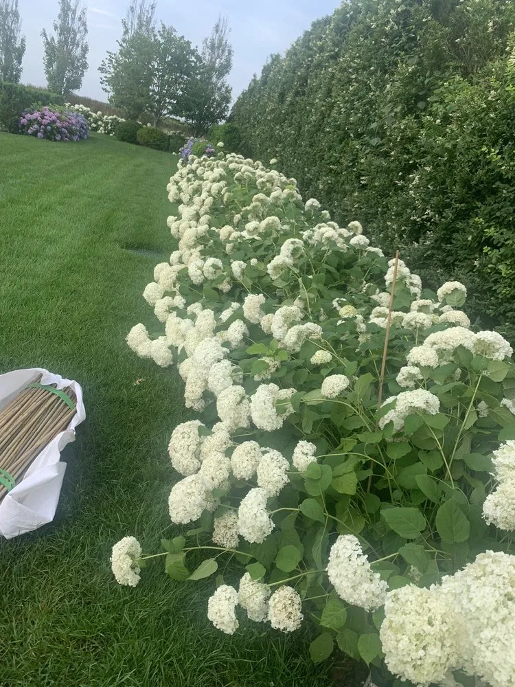 Affordable landscaping services with custom design in Riverhead, NY by Tula Landscaping