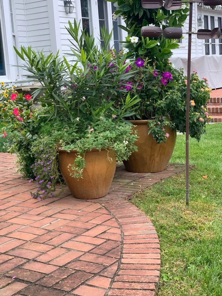 Professional yard cleanup service in Riverhead, NY by Tula Landscaping