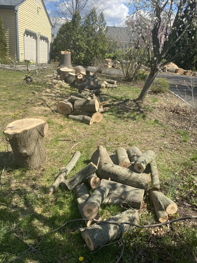 Trusted yard cleanup service for homes in Trumbull, CT by Tulandscaping