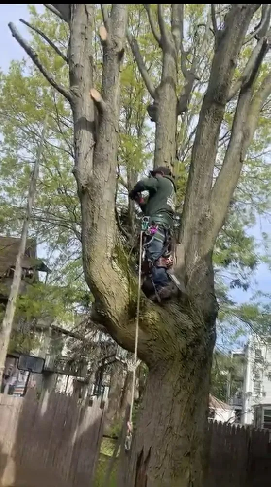 Expert landscape installation for homes across Trumbull, CT - Tulandscaping