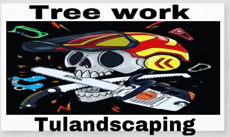 Custom yard cleanup service experts serving Trumbull, CT - Tulandscaping