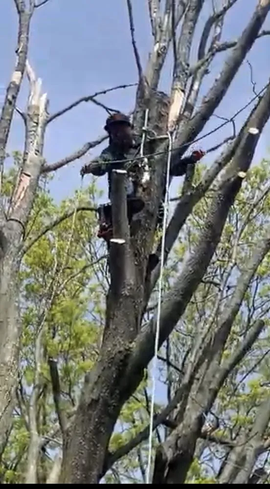 Trusted lawn mowing service for beautiful yards across Trumbull, CT - Tulandscaping