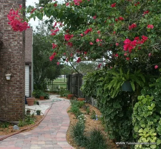 Professional outdoor landscaping for year-round maintenance across Cocoa, FL - Tulinda's Garden