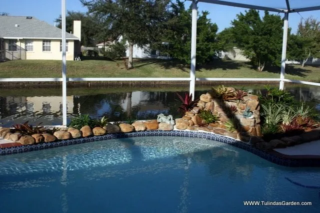 Local landscape design in Cocoa, FL - Tulinda's Garden