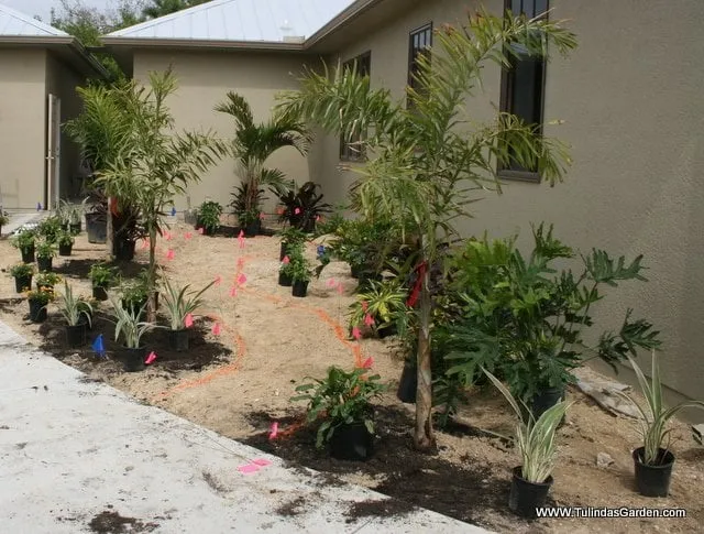 Professional yard cleanup service near you across Cocoa, FL - Tulinda's Garden